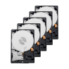 Pack de discos duros - 10 unidades - Seagate SkyHawk AIST8000VE0004 - Hasta 32 transmisiones de inteligencia artifici...